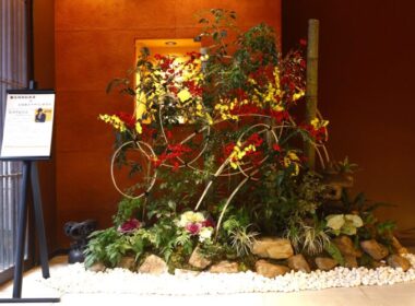 坪庭,文明堂総本店