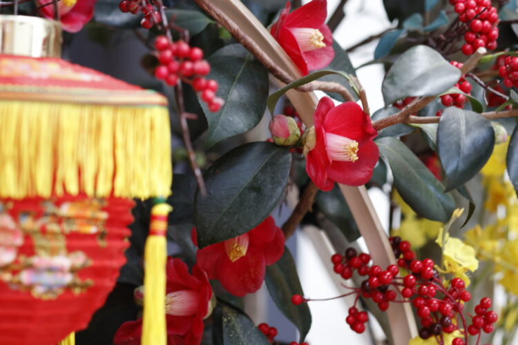 坪庭,文明堂総本店